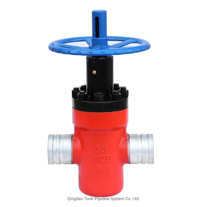 Stainless Steel High Pressure Gate Valve with FM UL Technical Norms