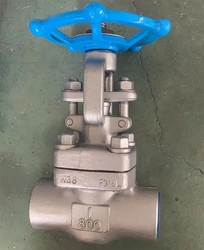 15mm-50mm Screwed and Sw Forged Gate Valves