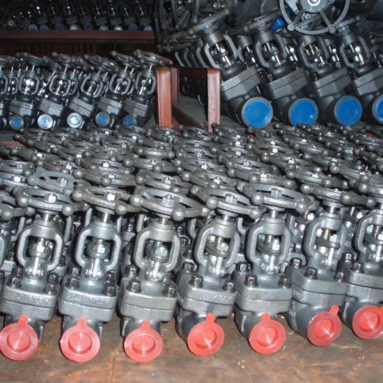 15mm-50mm Screwed and Sw Forged Gate Valves