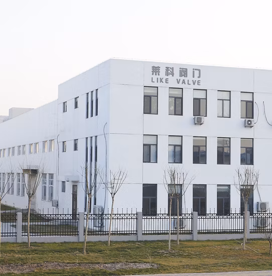 Industrial API Eccentric Semi-Ball Hemispherical Flanged Trunnion Mounted Ball Valve